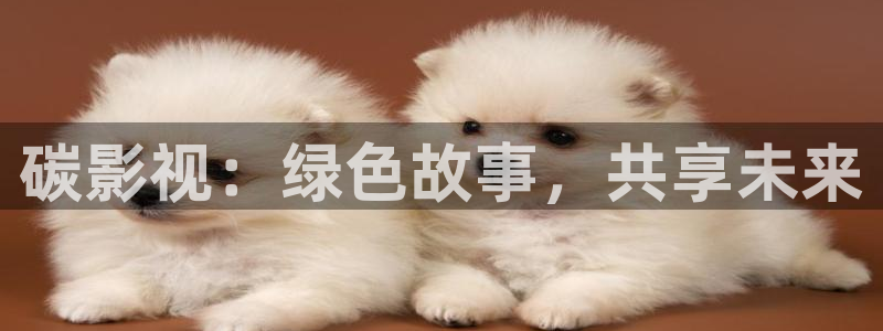 飘花影院午夜伦理：碳影视：绿色故事，共享未来