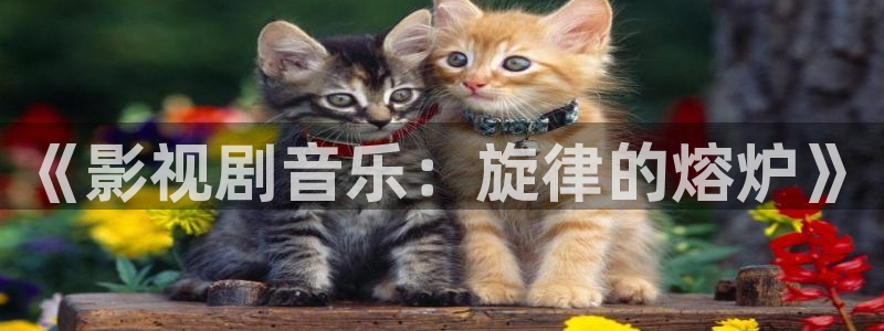 飘花电影院在线：《影视剧音乐：旋律的熔炉》